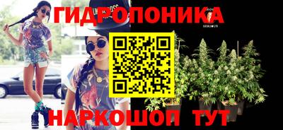 гашиш Камышлов